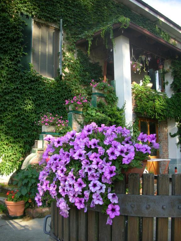 Cascina Beneficio Villa Castelnuovo Bormida Ngoại thất bức ảnh